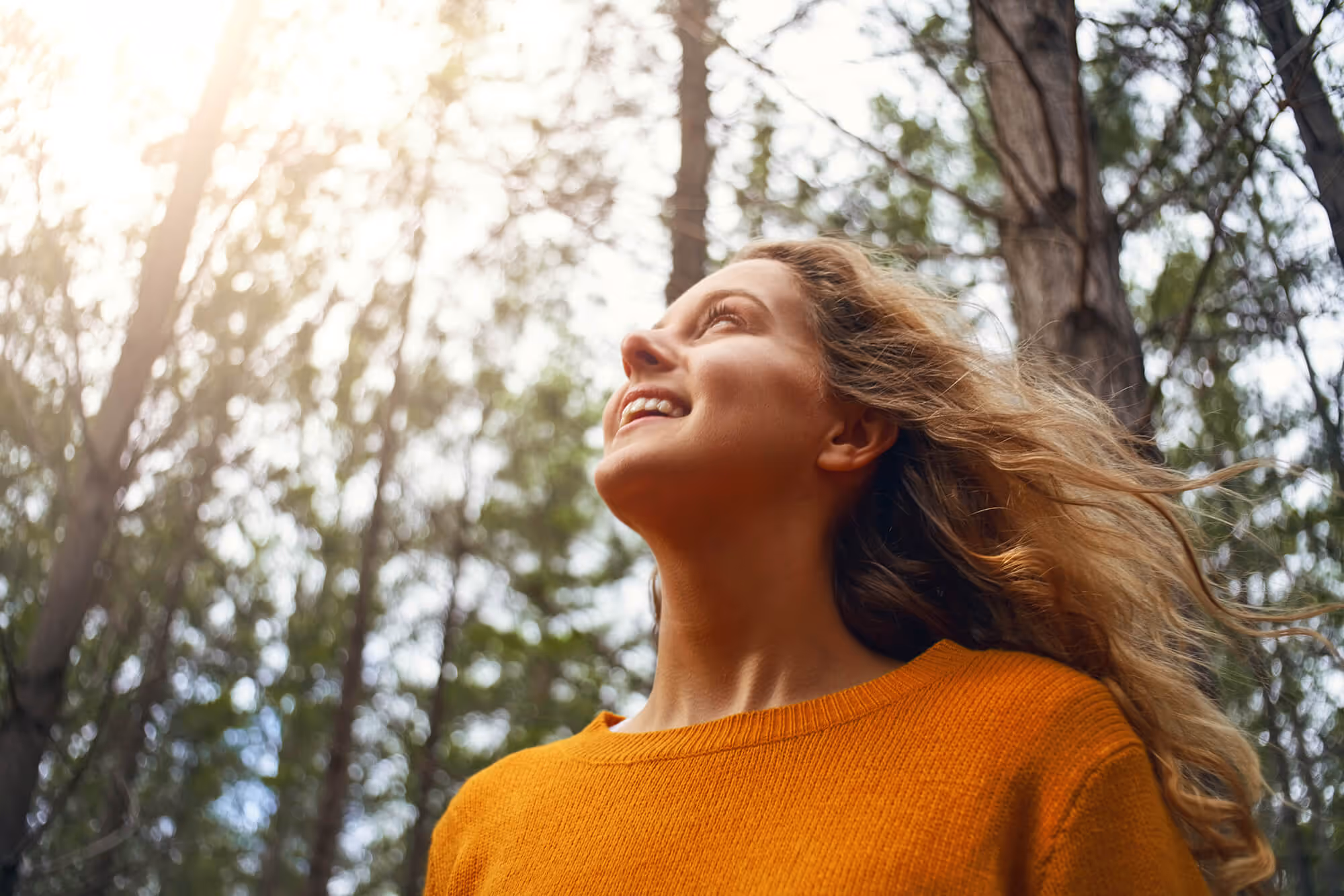kör teeth whitening in lakewood, co