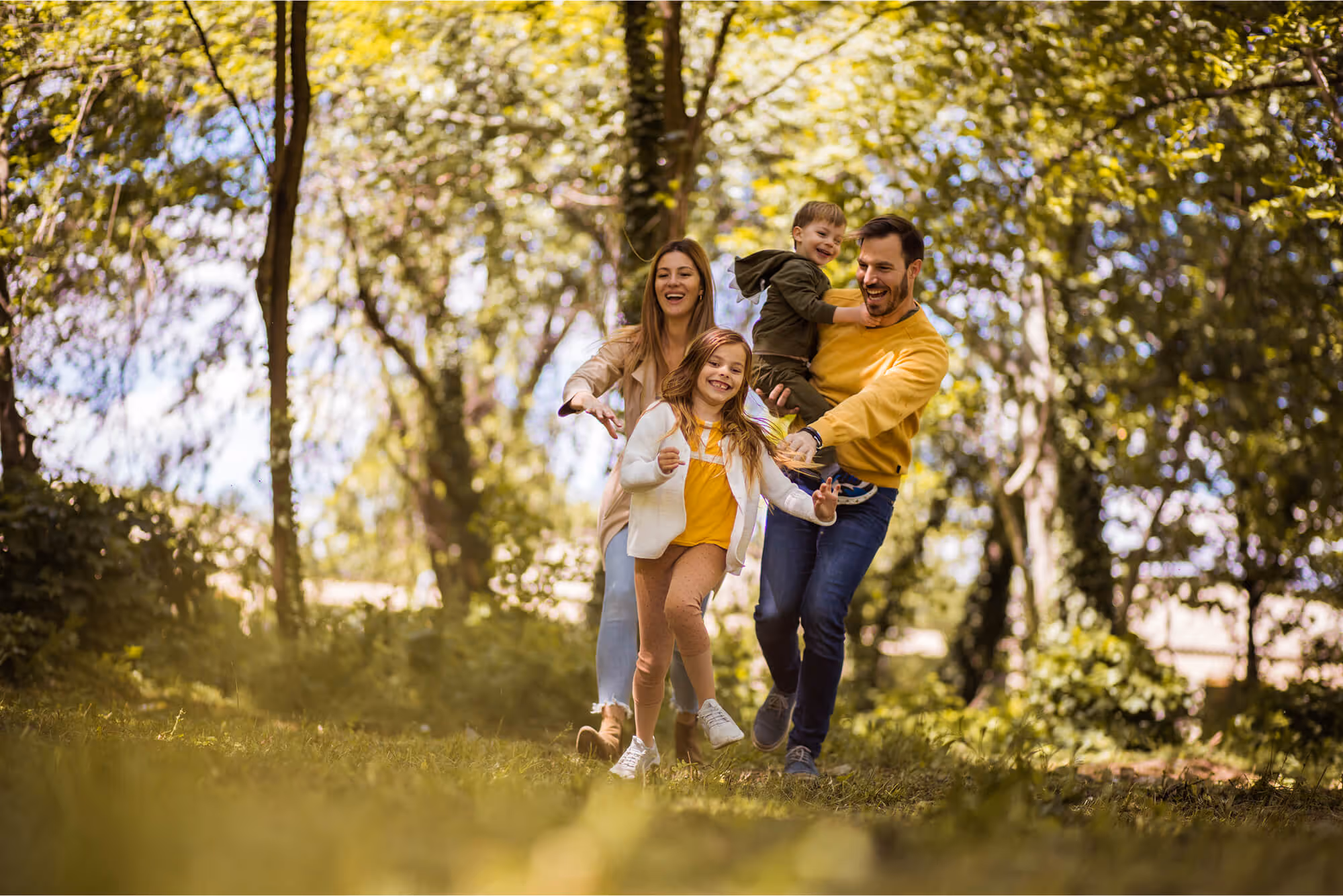 membership plan for dental service in lakewood